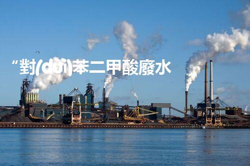 “對(duì)苯二甲酸廢水處理，綠色創(chuàng)新引領(lǐng)環(huán)保新篇章”